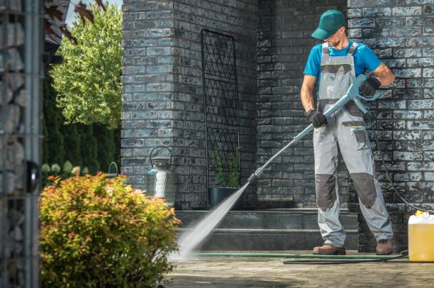 Best Graffiti Removal  in Ormond By The Sea, FL