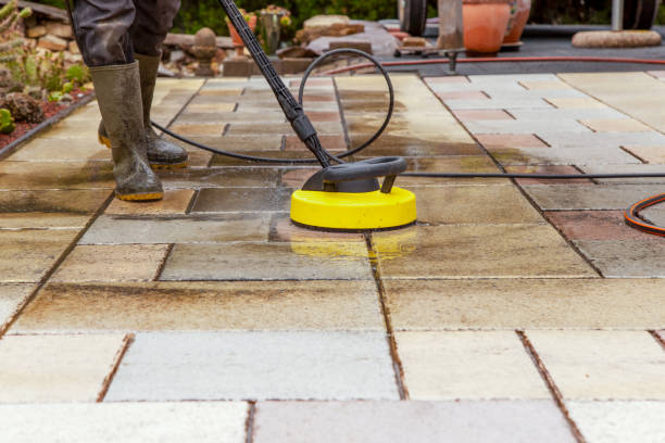 Best Driveway Pressure Washing  in Ormond By The Sea, FL